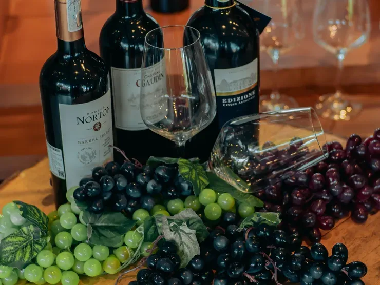 Wine Cellar 4
