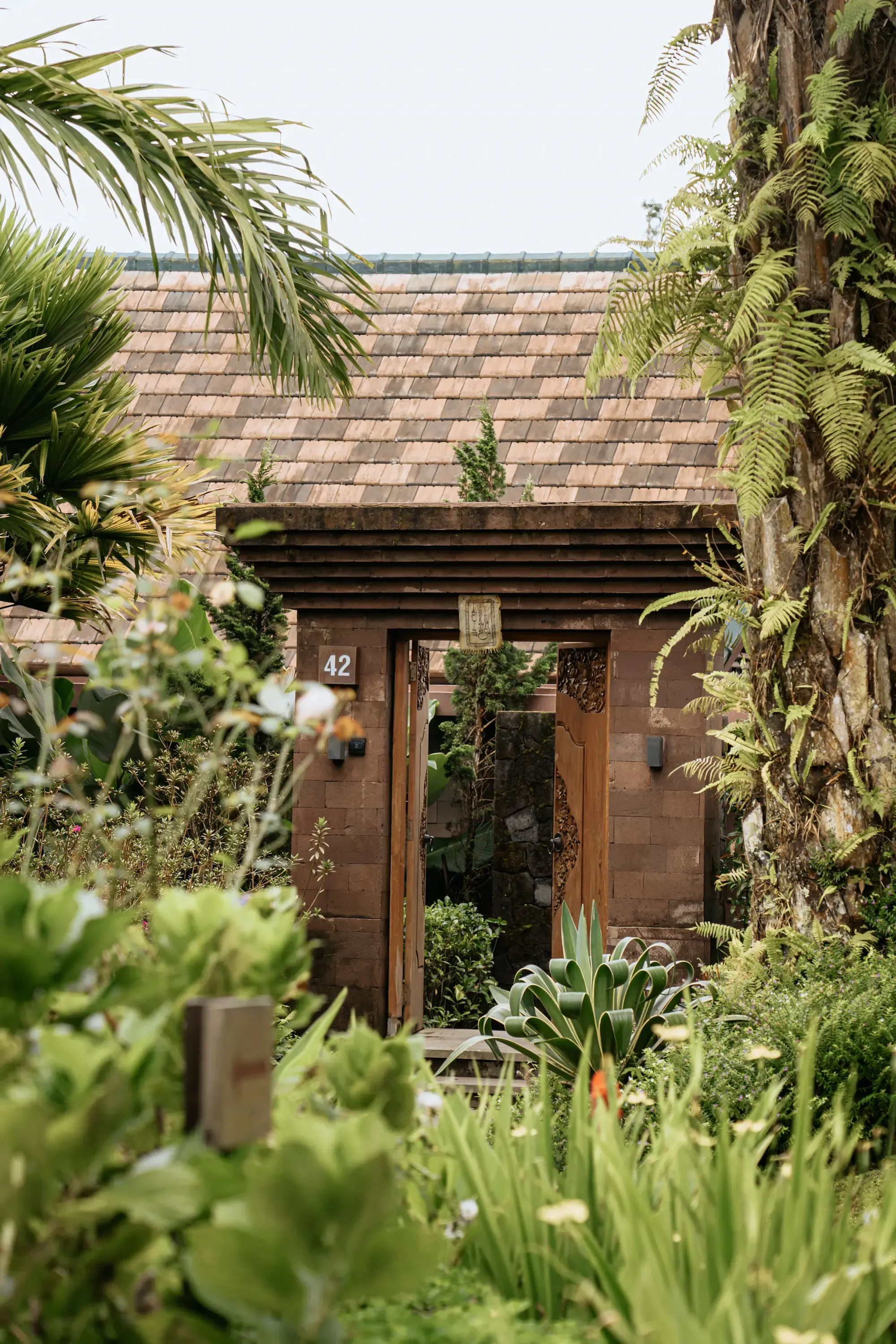 garden outdoor